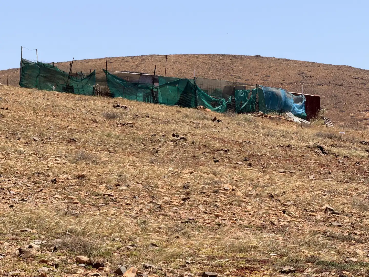 Finca rústica en venta en Calle Matías Hernández López, 1, Tuineje pueblo Finca rústica en venta en Tuineje con Jardín privado