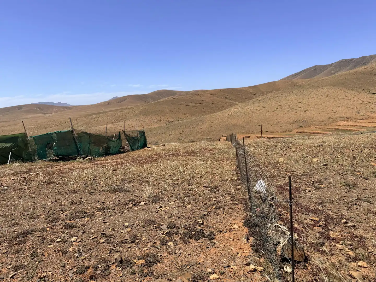 Finca rústica en venta en Calle Matías Hernández López, 1, Tuineje pueblo Finca rústica en venta en Tuineje con Jardín privado