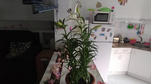 Foto 2 de Estudi en venda a Passeig de Pau Casals, 117, La Pineda, Vila-seca