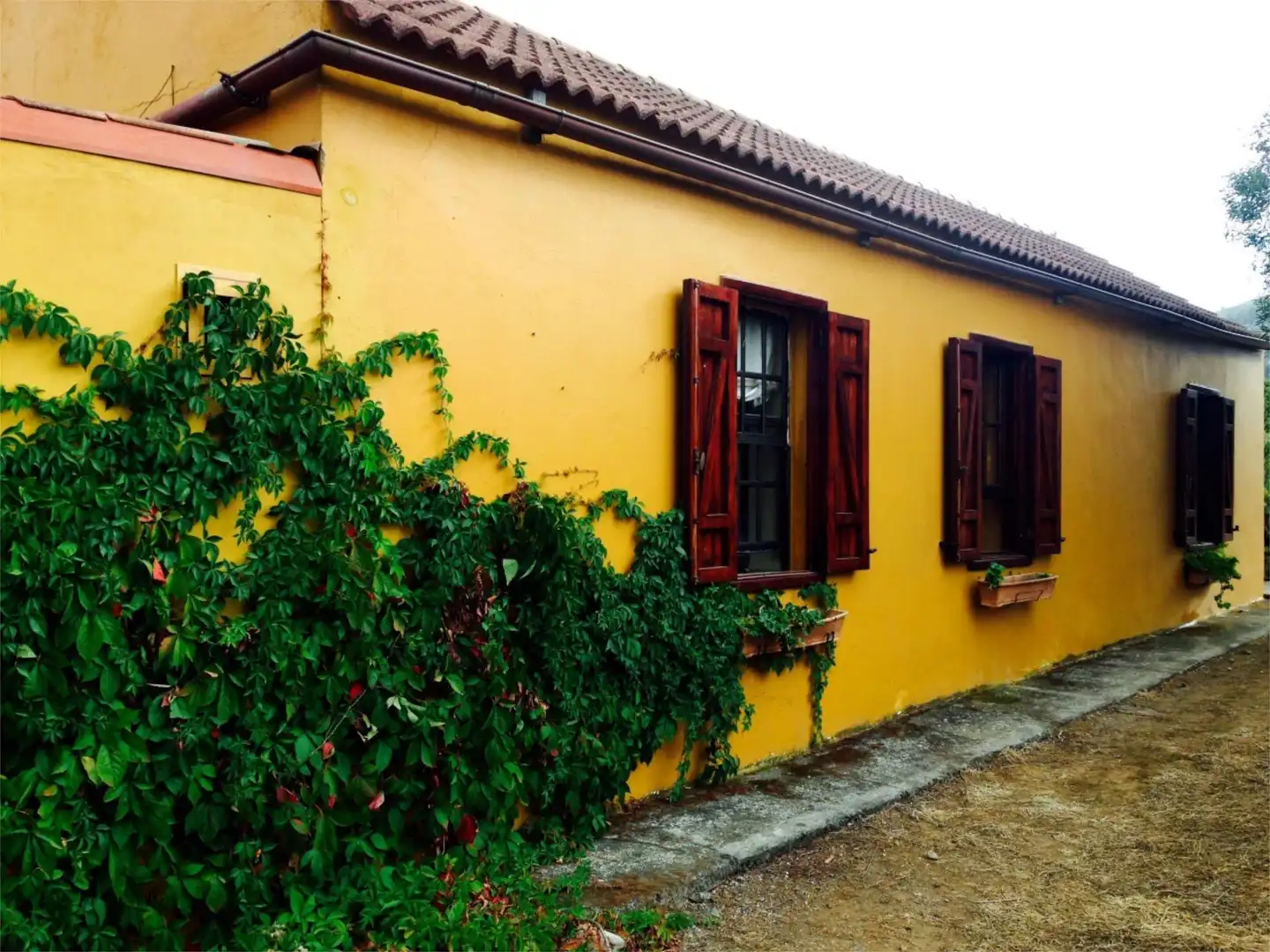Piso en venta en Lugar Pinar de Ojeda, 24, San José del Álamo - El Hornillo Vista exterior de Piso en venta en Teror con Calefacción, Jardín privado y Terraza