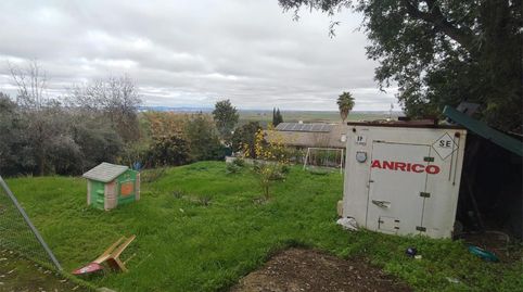 Foto 2 de Casa o chalet en venta en Urbanizacion la Alondra, 30, Salteras, Sevilla