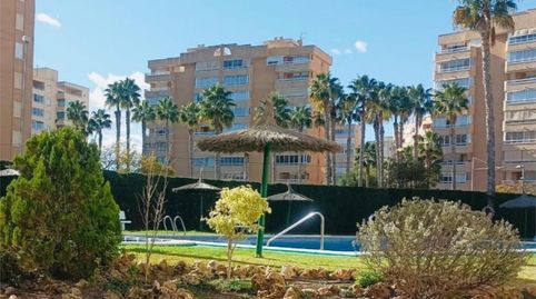 Pis de lloguer a Avinguda de la Costa Blanca, 141, Playa de San Juan, Alicante / Alacant - imatge 2 Foto 2 de Pis de lloguer a Avinguda de la Costa Blanca, 141, Playa de San Juan, Alicante / Alacant