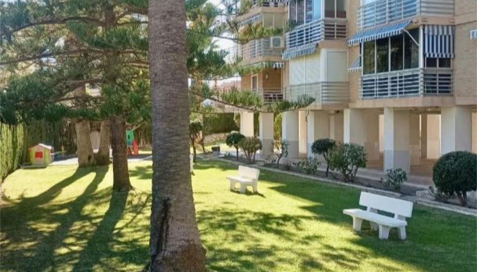 Pis de lloguer a Avinguda de la Costa Blanca, 141, Playa de San Juan, Alicante / Alacant - imatge 1 Foto 1 de Pis de lloguer a Avinguda de la Costa Blanca, 141, Playa de San Juan, Alicante / Alacant