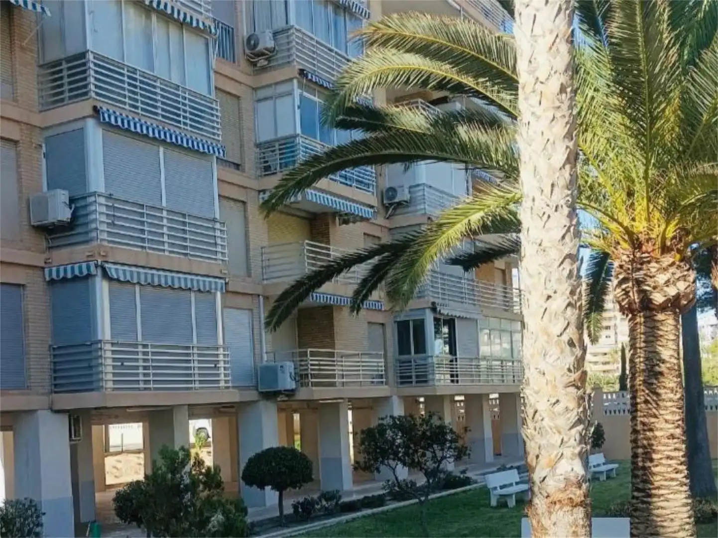 Pis de lloguer a Avinguda de la Costa Blanca, 141, Playa de San Juan