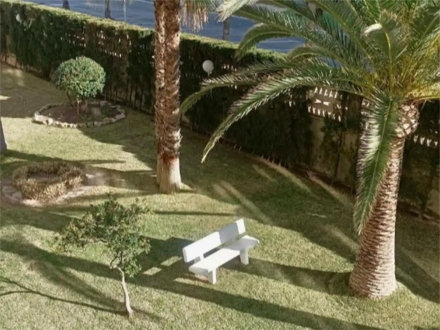 Pis de lloguer a Avinguda de la Costa Blanca, 141, Playa de San Juan