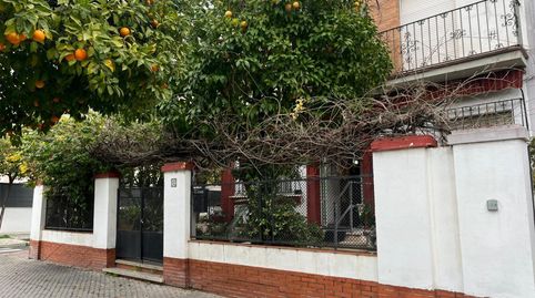 Planta baja en venta en Calle Manuel Ramón Alarcón, 23, San Pablo, Sevilla Capital - imagen 4 Foto 4 de Planta baja en venta en Calle Manuel Ramón Alarcón, 23, San Pablo, Sevilla Capital