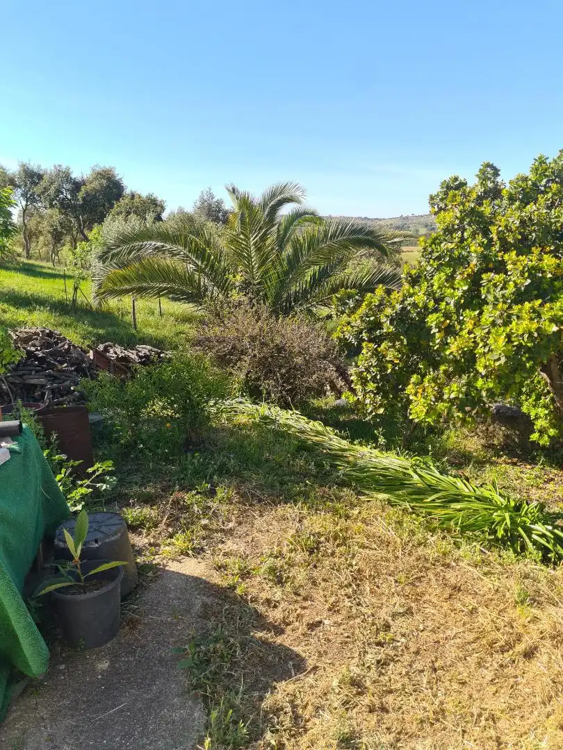 Country homes for sale in Calle Carretera de Cazalla, 13, El Pedroso Country homes for sale in El Pedroso