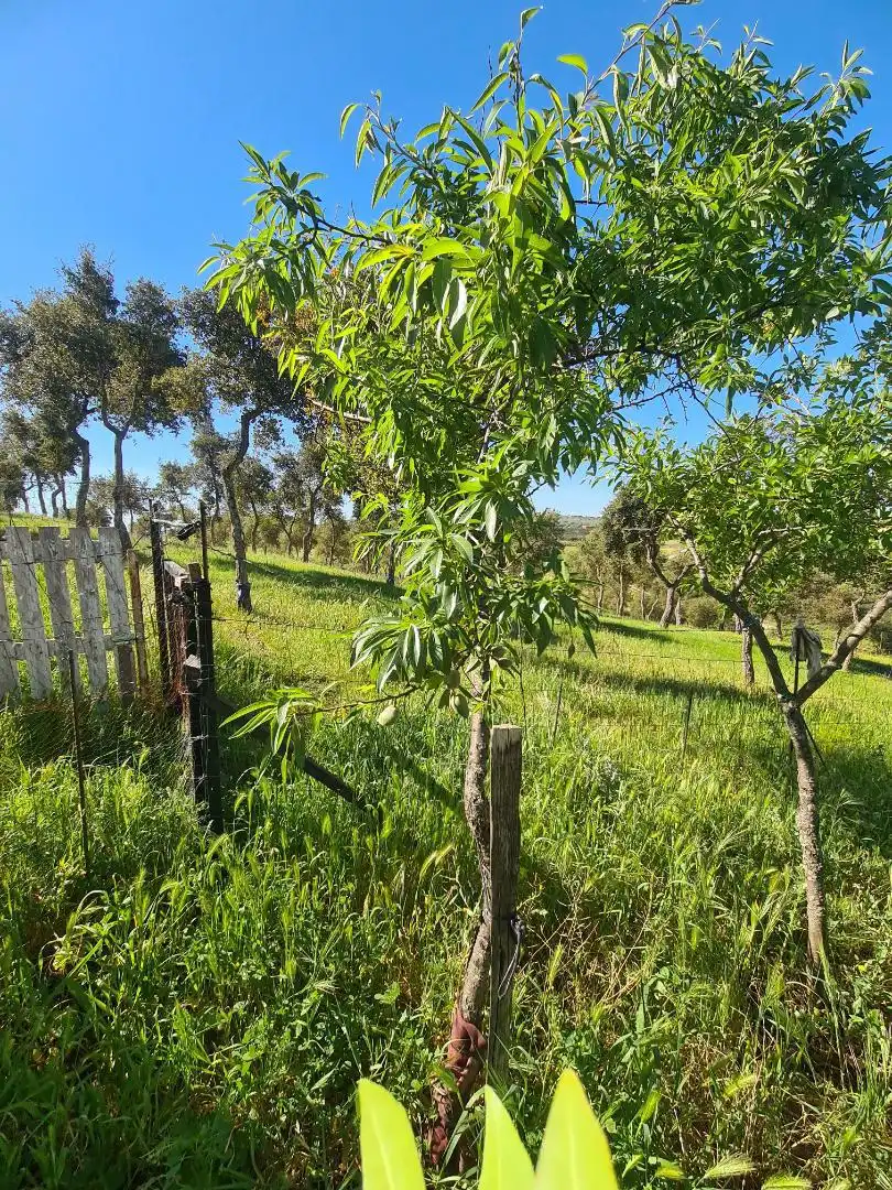 Country homes for sale in Calle Carretera de Cazalla, 13, El Pedroso Country homes for sale in El Pedroso