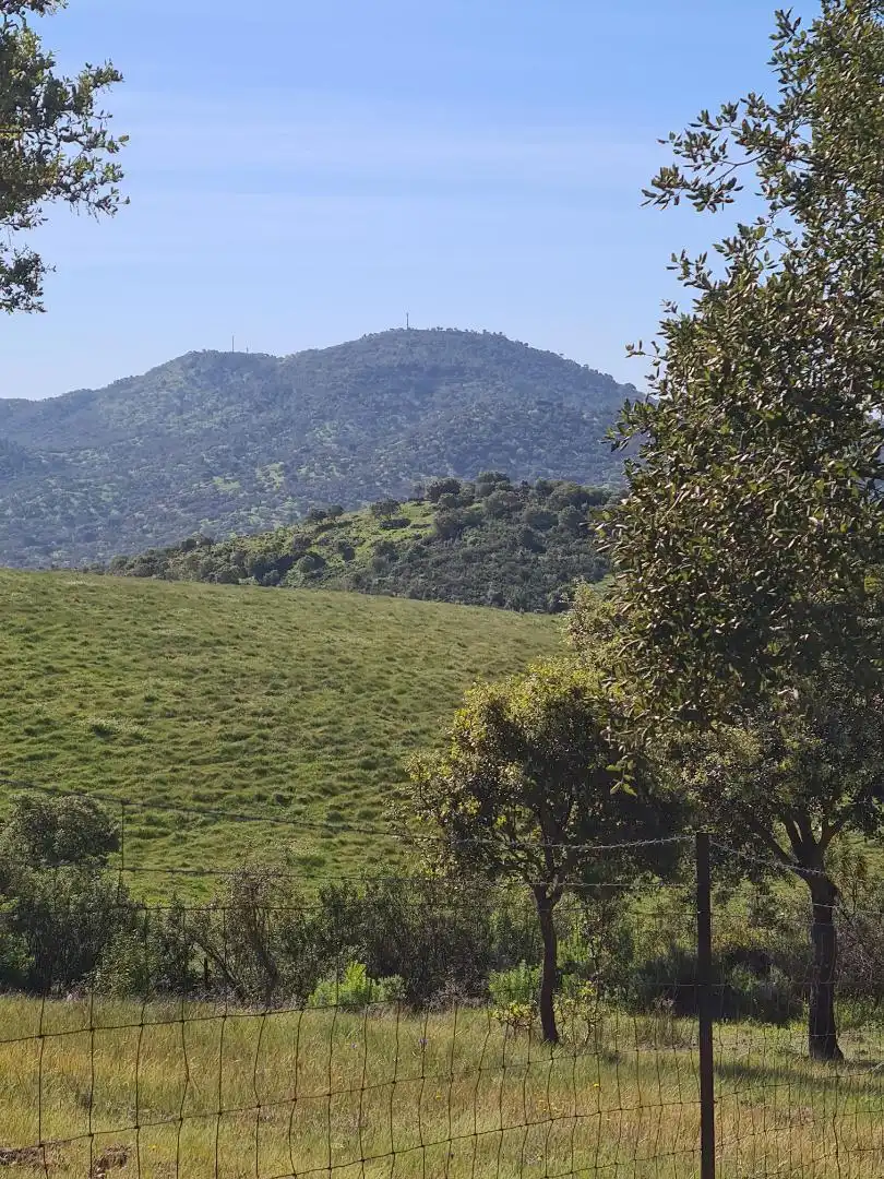 Country homes for sale in Calle Carretera de Cazalla, 13, El Pedroso Country homes for sale in El Pedroso