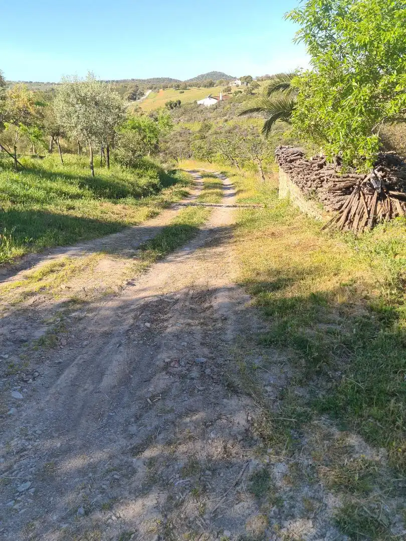 Country homes for sale in Calle Carretera de Cazalla, 13, El Pedroso Country homes for sale in El Pedroso