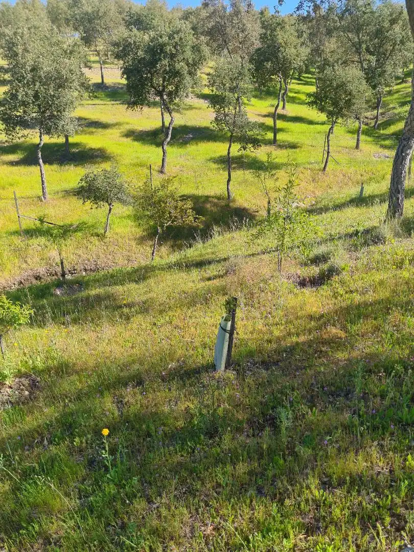 Country homes for sale in Calle Carretera de Cazalla, 13, El Pedroso Country homes for sale in El Pedroso