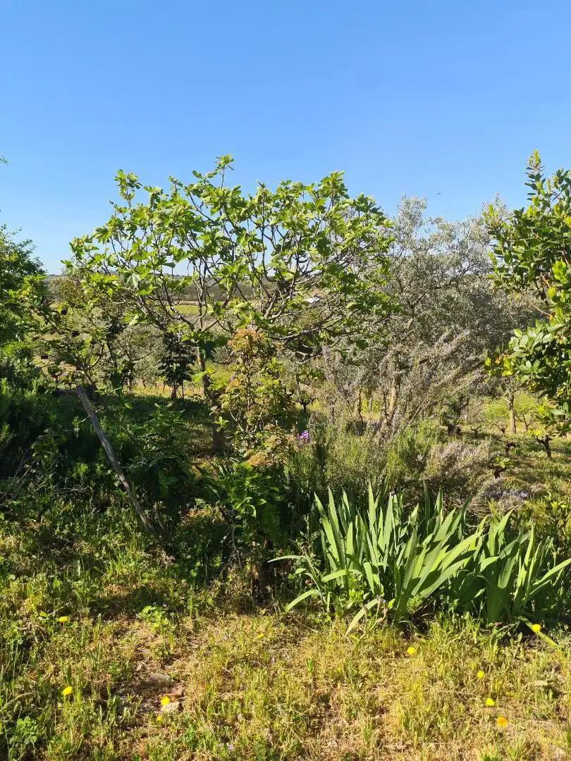 Country homes for sale in Calle Carretera de Cazalla, 13, El Pedroso Country homes for sale in El Pedroso