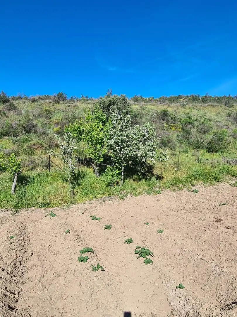 Country homes for sale in Calle Carretera de Cazalla, 13, El Pedroso Country homes for sale in El Pedroso