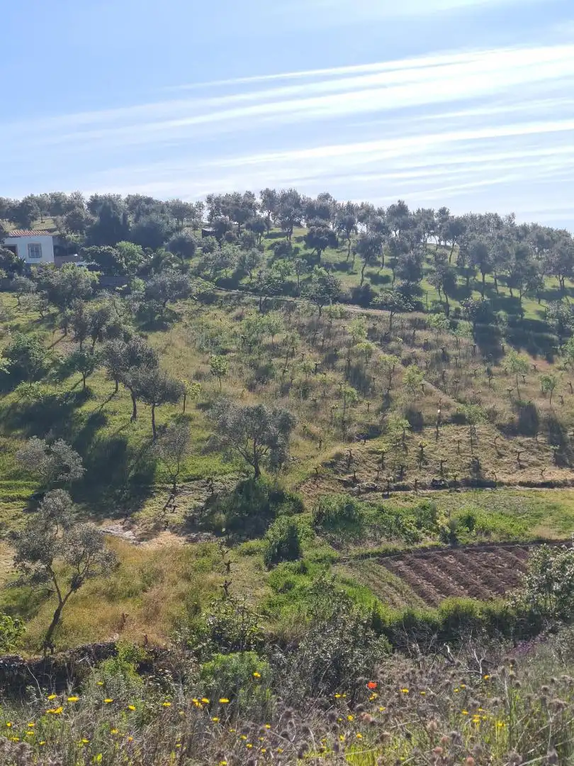 Country homes for sale in Calle Carretera de Cazalla, 13, El Pedroso Country homes for sale in El Pedroso