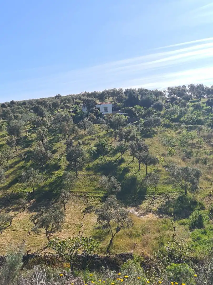 Country homes for sale in Calle Carretera de Cazalla, 13, El Pedroso Country homes for sale in El Pedroso