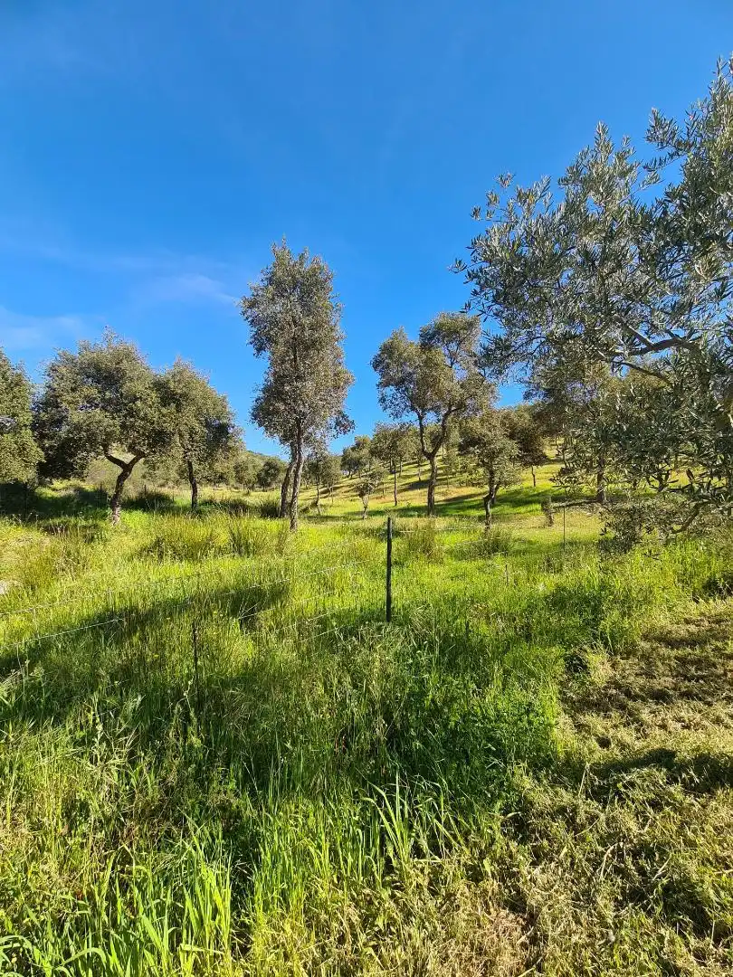 Country homes for sale in Calle Carretera de Cazalla, 13, El Pedroso Country homes for sale in El Pedroso