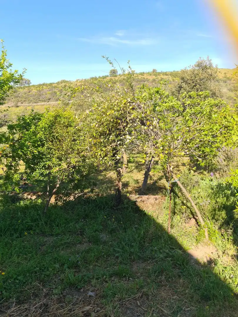 Country homes for sale in Calle Carretera de Cazalla, 13, El Pedroso Country homes for sale in El Pedroso