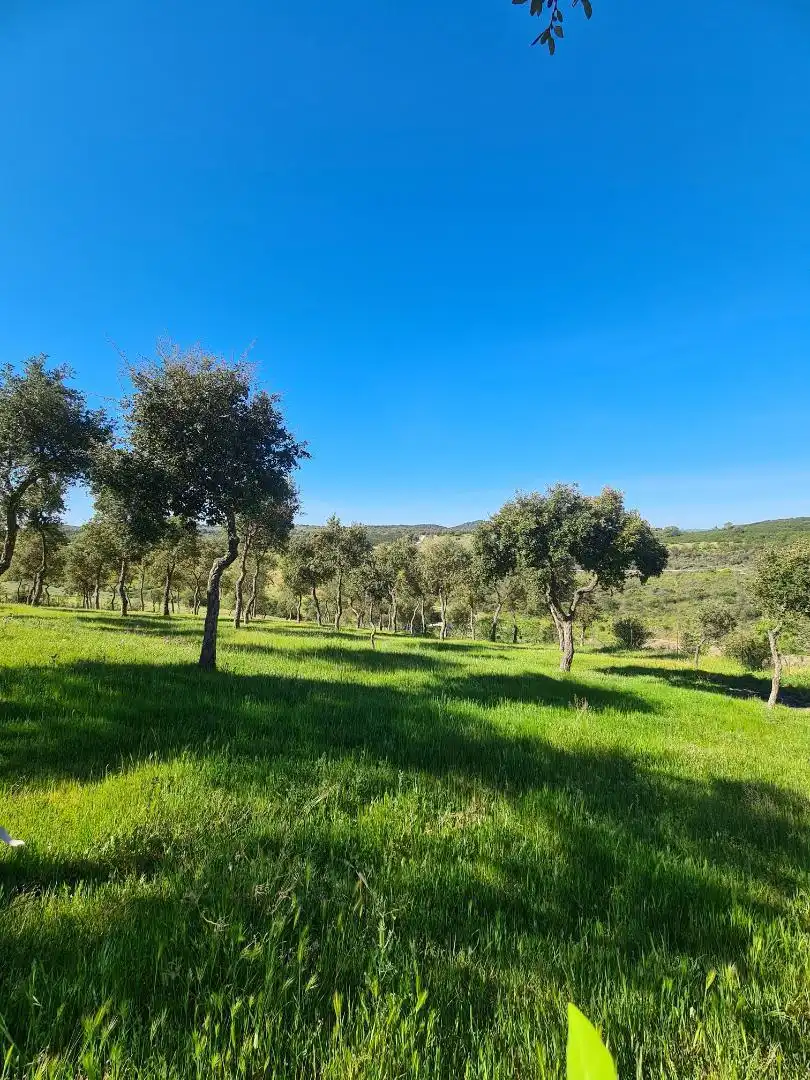 Country homes for sale in Calle Carretera de Cazalla, 13, El Pedroso Country homes for sale in El Pedroso