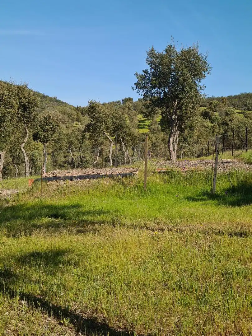 Country homes for sale in Calle Carretera de Cazalla, 13, El Pedroso Country homes for sale in El Pedroso