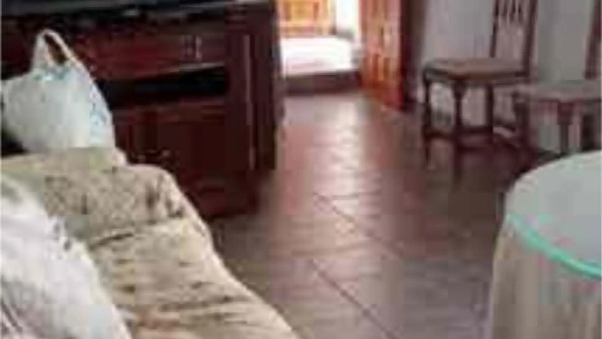 Casa o chalet en venta en La Calahorra Sala de estar de Casa o chalet en venta en La Calahorra