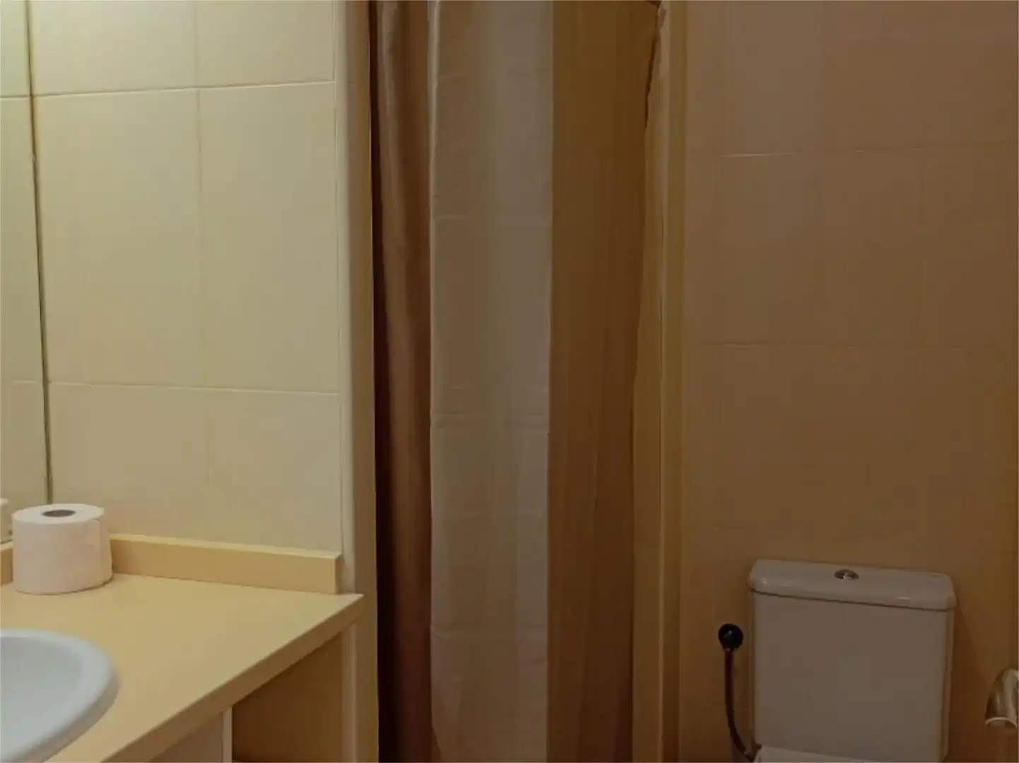 Apartments for rent in Avenida de Andalucia, 179, Centro - Doña Mercedes Bathroom of Apartments for rent in Dos Hermanas with Air Conditioner, Heating and Furnished