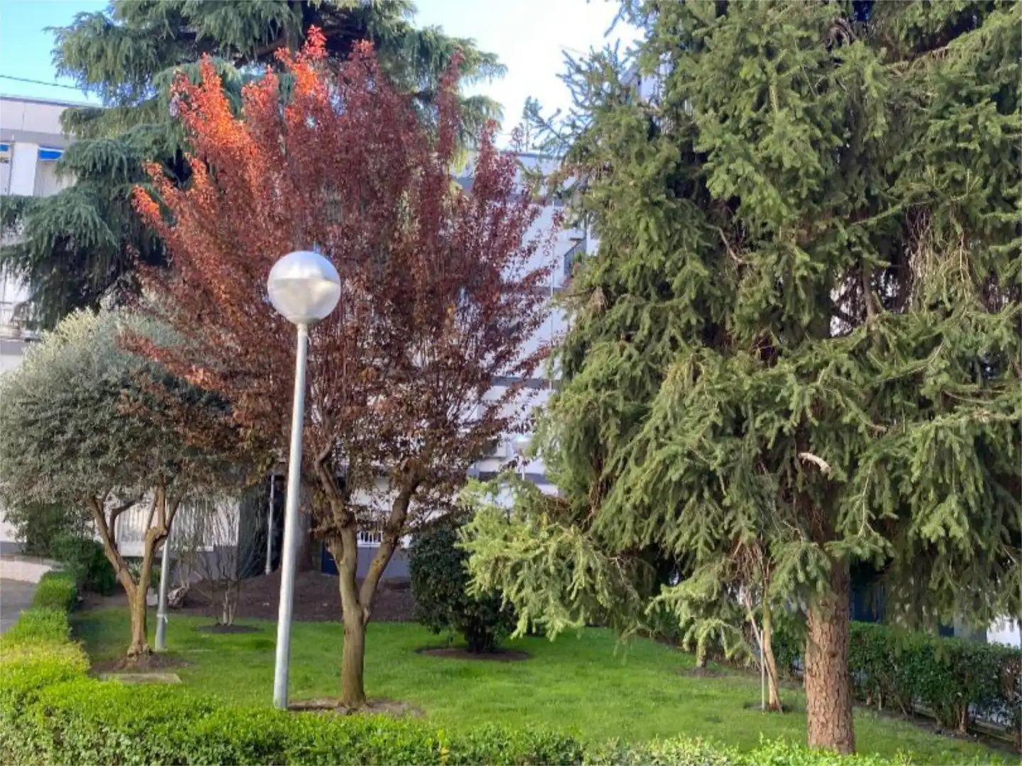 Flat for rent in Tahona, 3, Pueblo