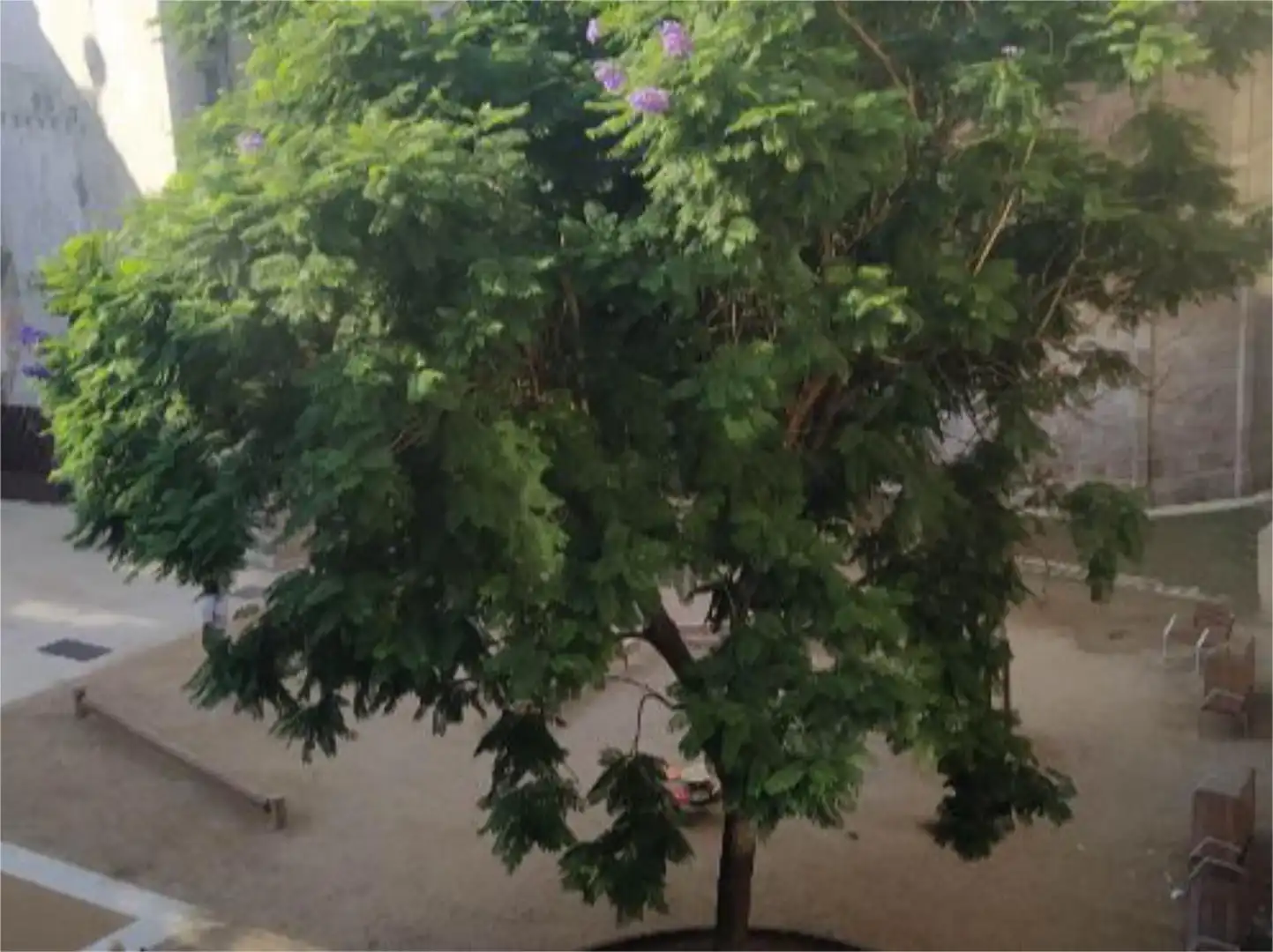 Garden of Flat for share in  Barcelona Capital  with Air Conditioner, Furnished and Balcony