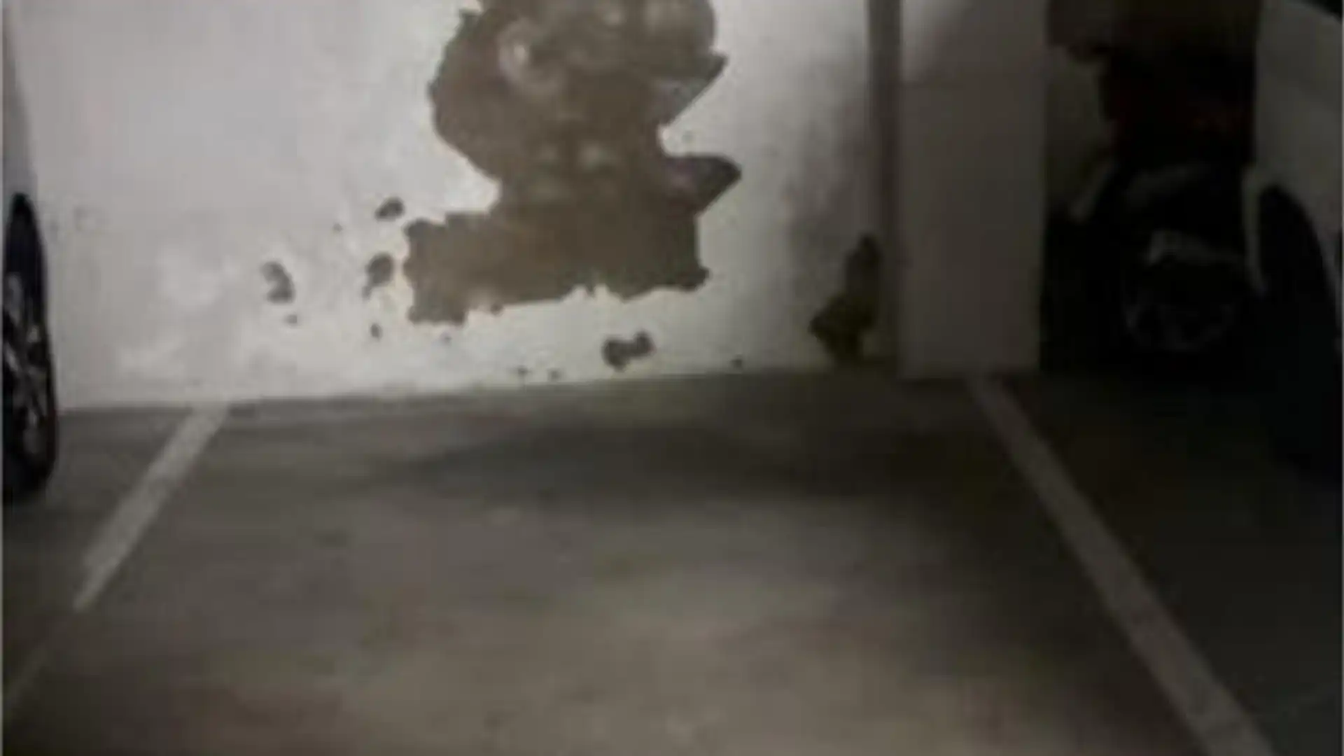 Houses for rent in Dos Hermanas