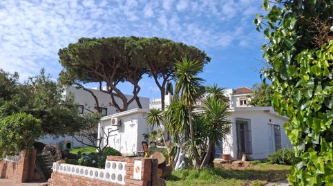 Foto 2 de Casa o xalet de lloguer a Avenida de Álvaro Domecq, 46, Aguadulce - Almadraba - Punta Candor, Rota