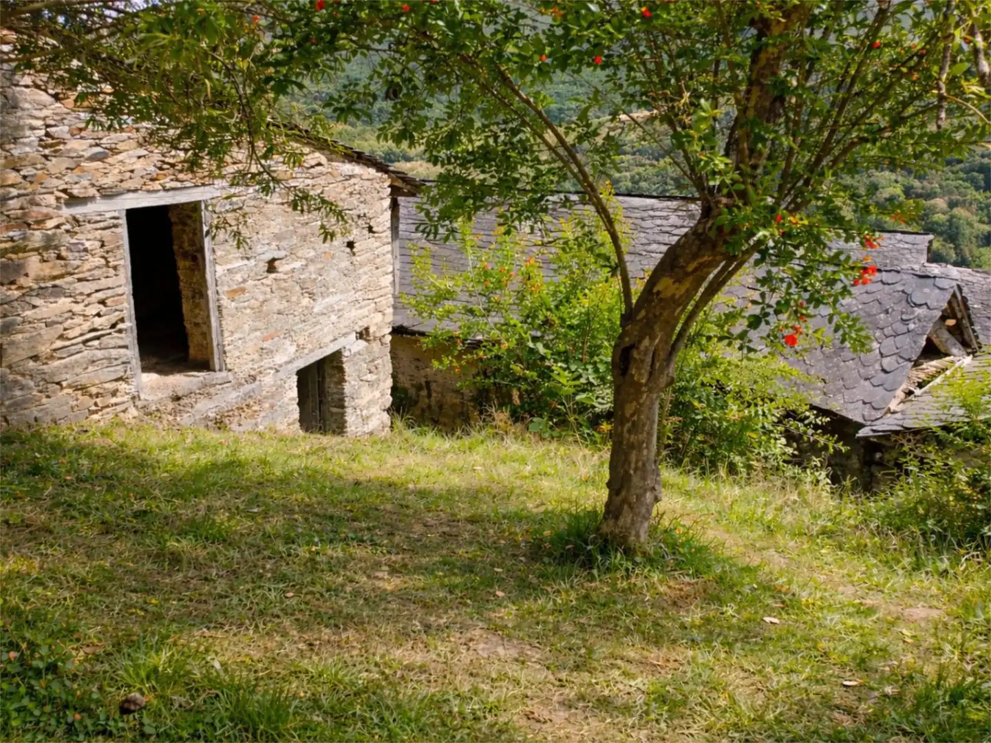 Flat for sale in Calle Ribadeo, 37, Villafranca del Bierzo Exterior view of Flat for sale in Villafranca del Bierzo