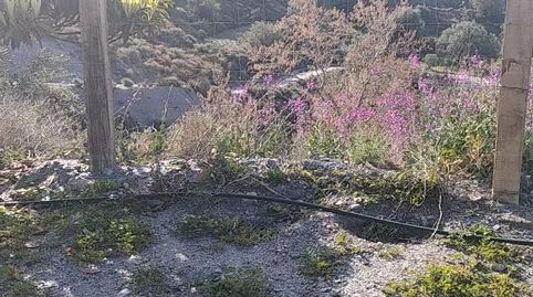 Photo 5 of Country homes for sale in Carretera de Mecina, 11, Válor, Granada