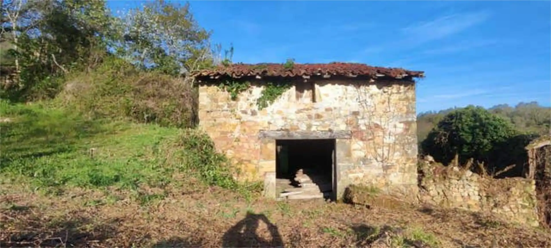 Vista exterior de Casa o chalet en venta en Onís