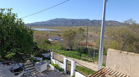 Foto 2 de Finca rústica en venta en Calle López Seva, 28, El Pinós / Pinoso, Alicante