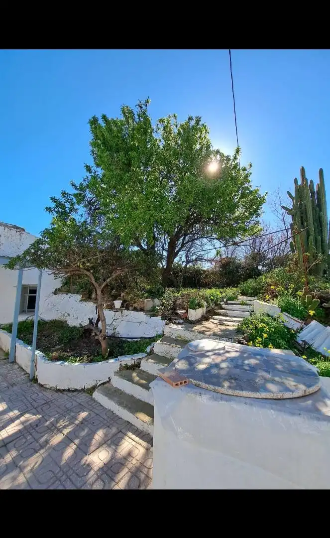 Jardín de Finca rústica en venta en El Pinós / Pinoso con Jardín privado y Terraza