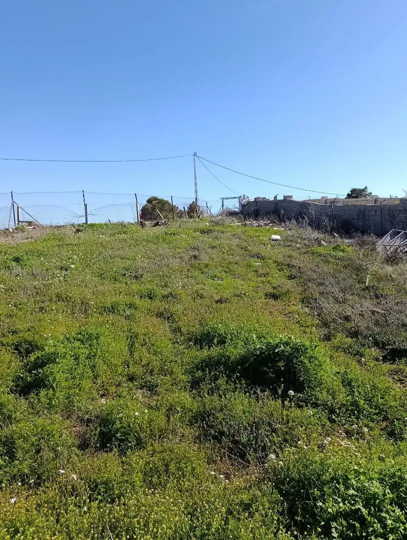 Finca rústica en venta en Calle López Seva, 28, El Pinós / Pinoso Finca rústica en venta en El Pinós / Pinoso con Jardín privado y Terraza