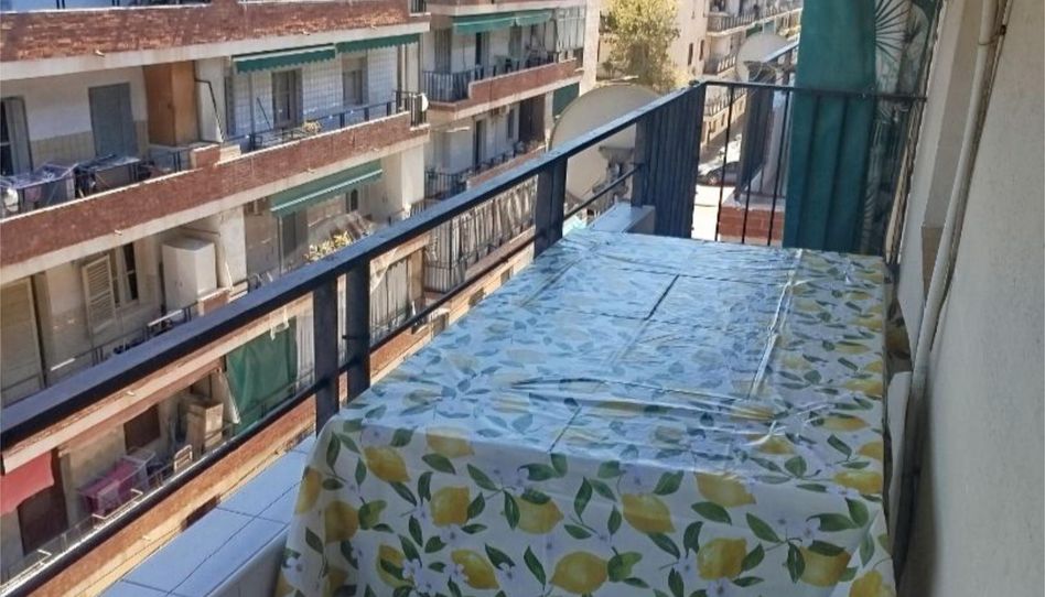 Wohnung zur Miete in Calle Pintor Pérez Pizarro, 12, Virgen del Remedio - Parque Lo Morant, Alicante / Alacant - Bild 1 Foto 1 von Wohnung zur Miete in Calle Pintor Pérez Pizarro, 12, Virgen del Remedio - Parque Lo Morant, Alicante / Alacant