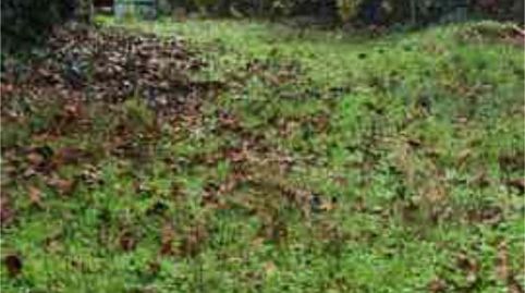 Casa o chalet en venta en Sober, Lugo - imagen 3 Foto 3 de Casa o chalet en venta en Sober, Lugo