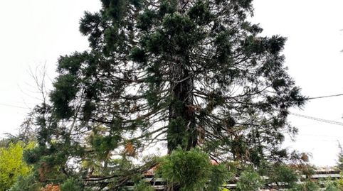 Pis de lloguer a Travesia de la Tejera, 2, Navacerrada, Madrid - imatge 2 Foto 2 de Pis de lloguer a Travesia de la Tejera, 2, Navacerrada, Madrid