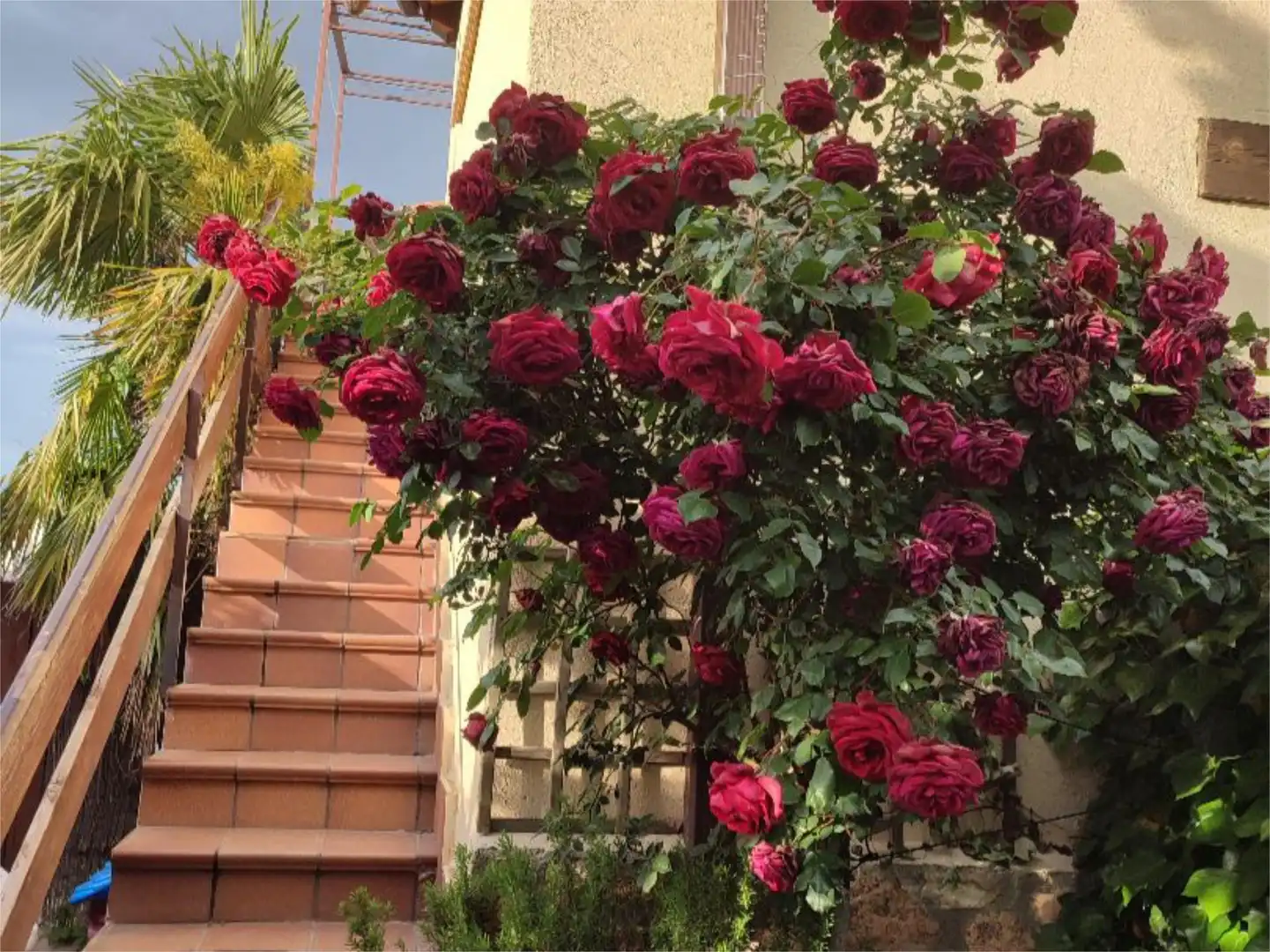 Piso en venta en Calle Palacio, 17, La Losa Jardín de Piso en venta en La Losa con Calefacción, Jardín privado y Terraza