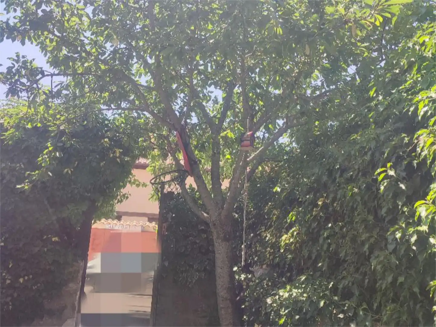 Piso en venta en Calle Palacio, 17, La Losa Jardín de Piso en venta en La Losa con Calefacción, Jardín privado y Terraza