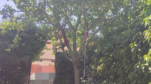 Foto 5 de Piso en venta en Calle Palacio, 17, La Losa , Segovia