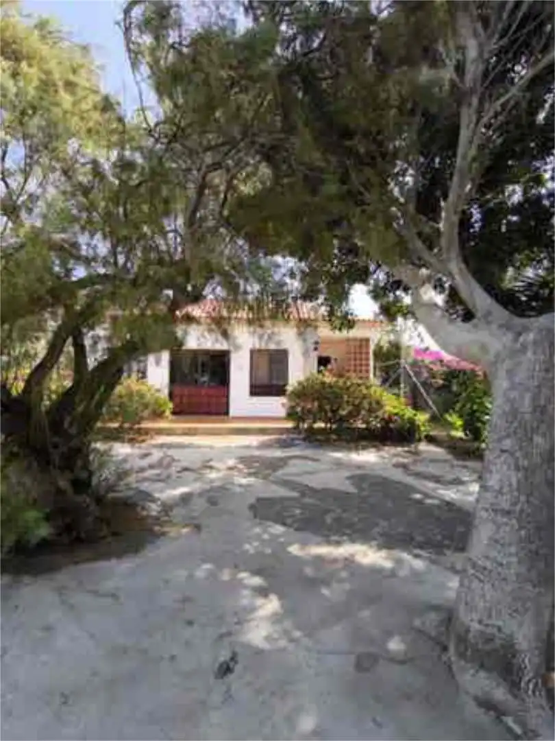 Vista exterior de Estudio de alquiler en San Cristóbal de la Laguna con Jardín privado, Terraza y Amueblado
