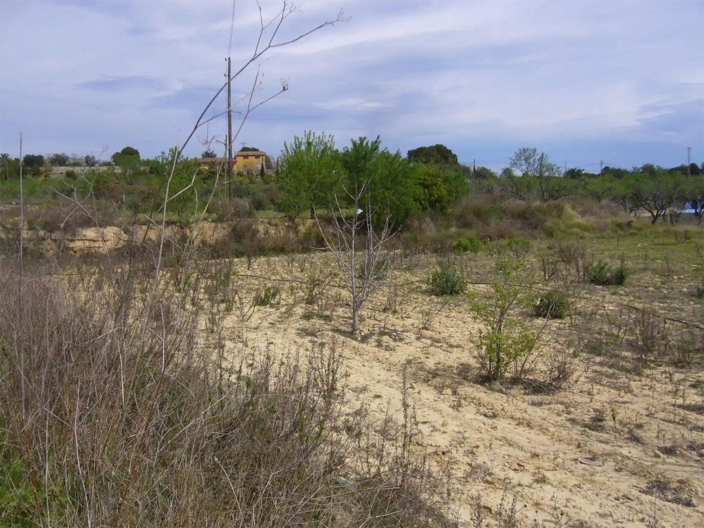 Grundstücke zum Verkauf in Carrer Urb. Calders nord, 4, Vallmoll Grundstücke zum Verkauf in Vallmoll