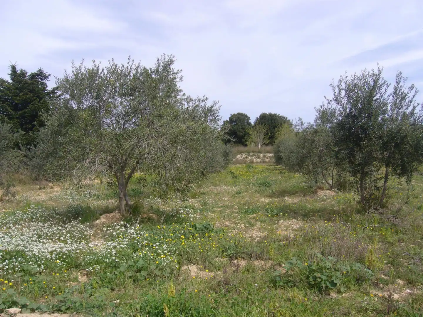 Grundstücke zum Verkauf in Carrer Urb. Calders nord, 4, Vallmoll Grundstücke zum Verkauf in Vallmoll