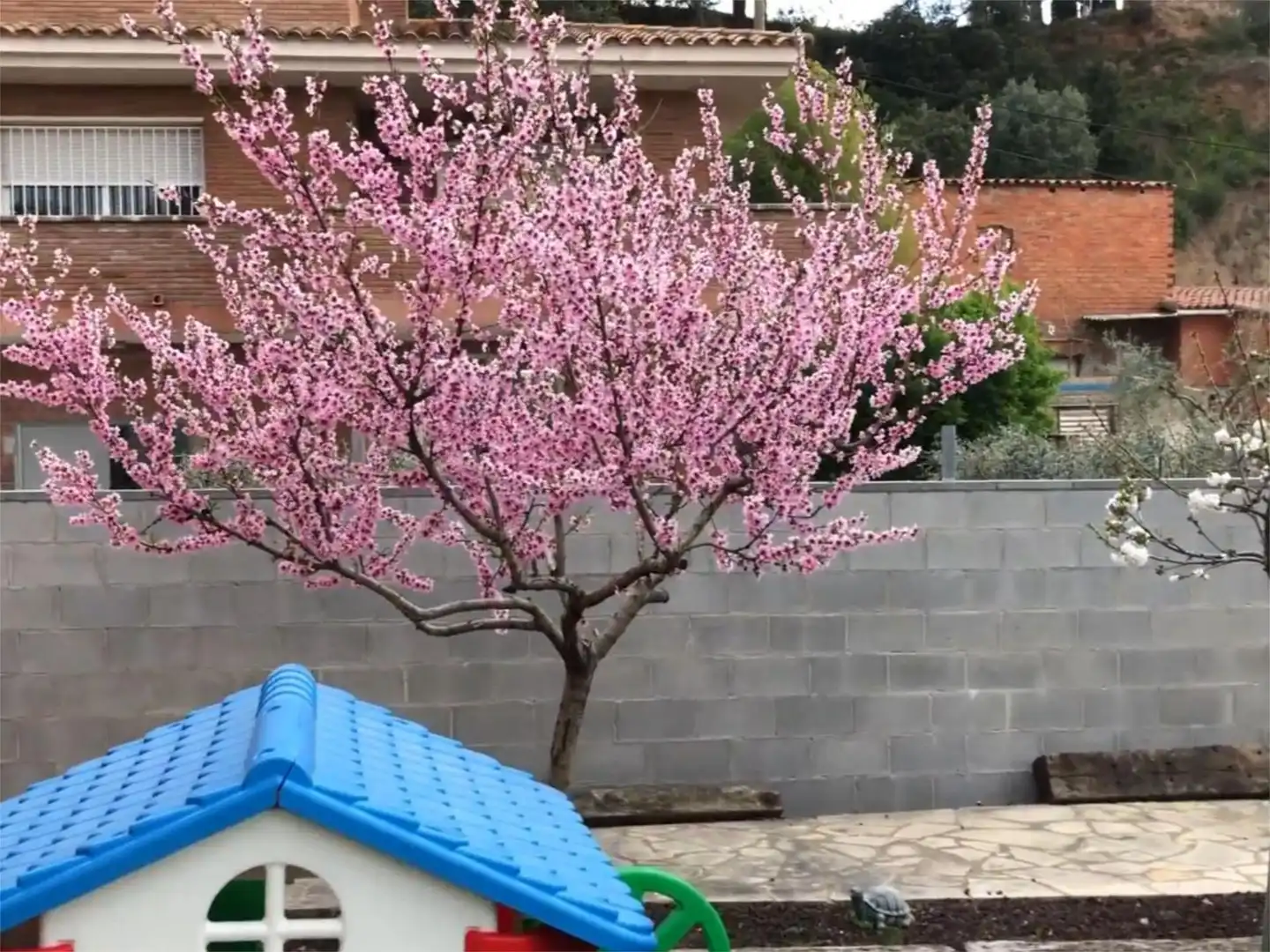 Garden of Houses for rent in Viladecavalls  with Air Conditioner, Heating and Private garden
