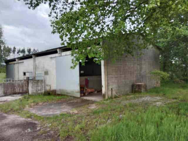 Nave industrial en Alquiler en Oroso