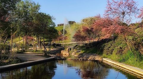 Photo 4 of Room in Calle Pico de la Pinareja, 1, Peñagrande, Madrid Capital