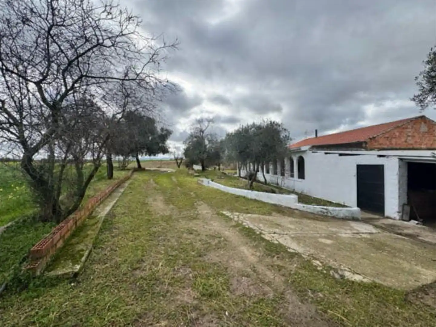 Casa o chalet en venta en La Haba 