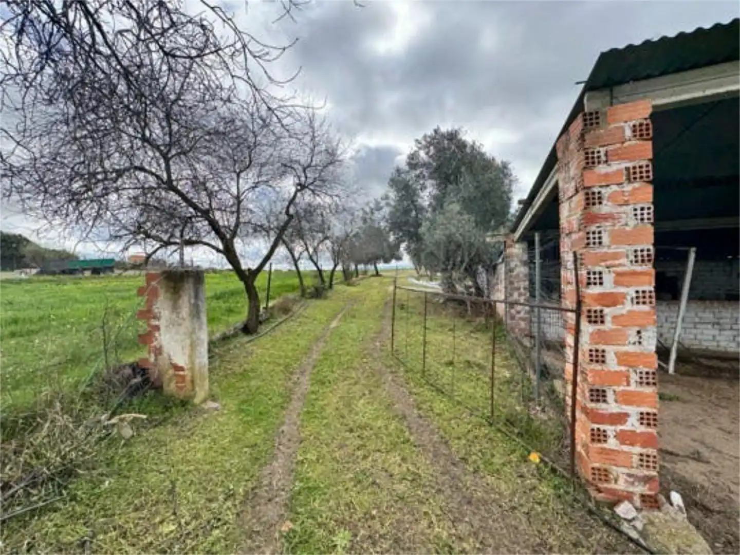 Casa o chalet en venta en La Haba 