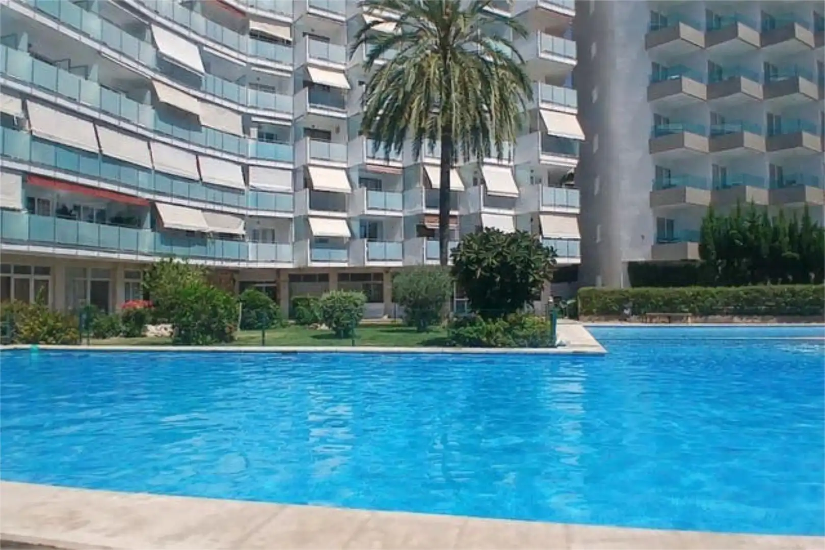 Schwimmbecken von Wohnung zum Verkauf in Calvià mit Privatgarten, Terrasse und Schwimmbad
